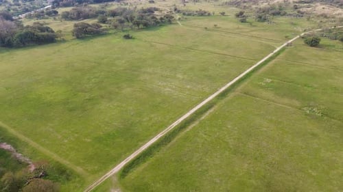 An aerial view of a vast green field with scattered trees, intersected by dirt paths winding