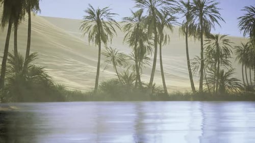 Intense Midday Glow Accentuates Desert Features and Reflections