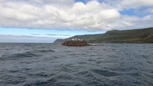Cormoranes en una isla rocosa con incrustaciones de algas en el Océano Austral, cerca de la isla Bruny en Tasmania
