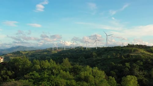 Wind Mill Farm