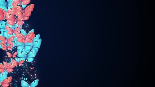 Beautiful Butterfly And Magic Glitter Trail Particle Flaying On Black Dark Background