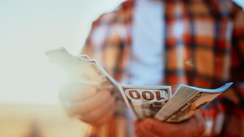 Counting Money in the Sunlight Outdoors