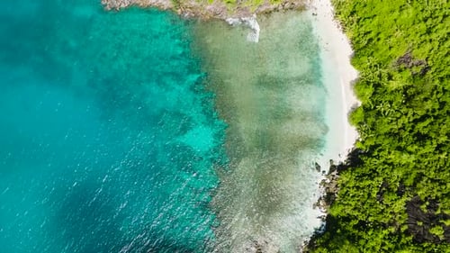 Tropical Coastline with Turquoise Water and Green Foliage Seychelles Mahe