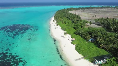 Aerial view of tropical beach with palm trees and fields, Maldives.