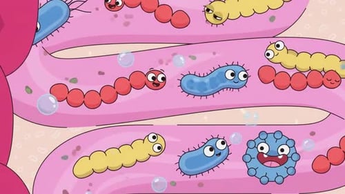 Good Gut Bacteria, Microorganisms, microbes & Germs in Stomach - Human Body