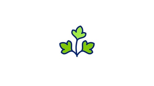 Parsley Animated Icon