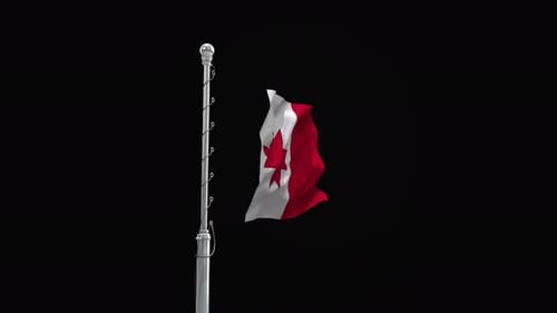 Waving Flag at Half Staff Animation
