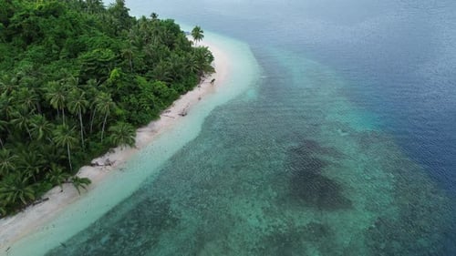 aerial view of the coastline filled with coconut trees. Tropical island