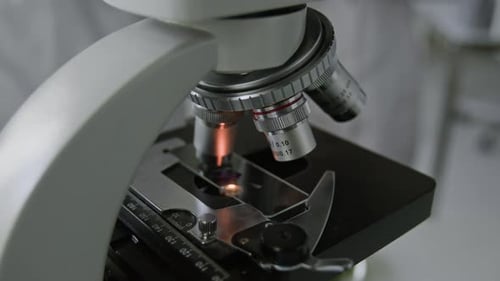 Close-up of Unrecognizable Hands Operating Microscope in Lab