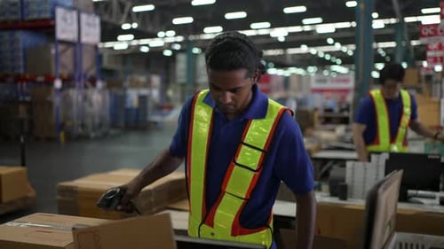 Logistics employees are working warehouse.