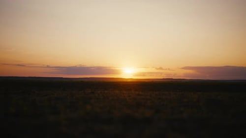 Wunderschöner Sonnenuntergang auf einem ländlichen Feld, frisches Feld, bereit für die Ernte, Flug eines Kometen auf einem