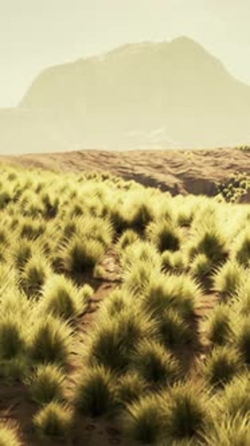 A Serene Landscape with Majestic Mountains and a Vast Field of Lush Green Grass