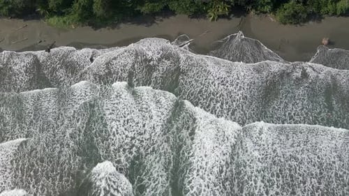 AERIAL - Beautiful waves crash on empty beach with green trees