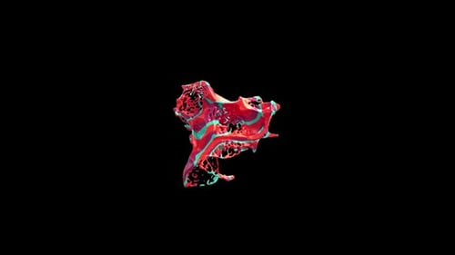 Dynamic Fluid Paint Splatter Transition Reveal