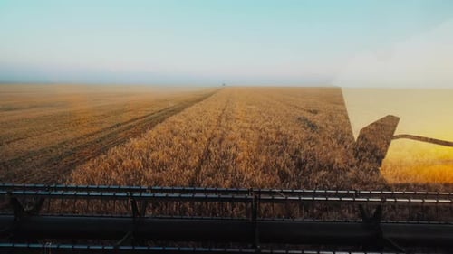 Harvesters for Harvesting Grain While Working View From the Combine Harvester Cab Harvesting
