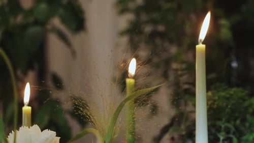 Candles and Flowers Burning Bright