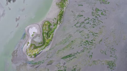 Aerial view of sea moss covering the periphery of the island with rotating shots