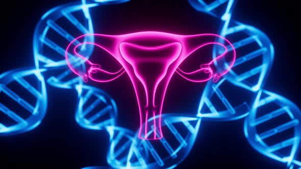 Uterus and DNA, reproductive system and genetic inheritance, 3d ...
