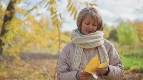 Frau beobachtet Herbstblatt während eines friedlichen Naturspaziergangs