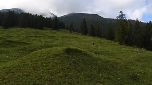 Man hiking up Austrian Alps grass and fields