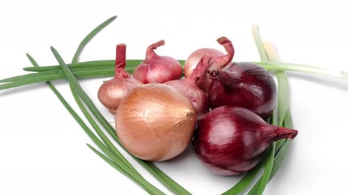 Onion Different Types Serving with Fresh Green Aromatic Scallion Rotation Isolated on White Studio