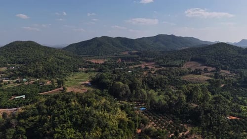 Aerial drone view of lush mountain landscape covered with dense forest and small scattered farms und