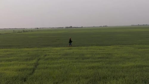 Aerial view of a person walking in field, Cambodia.
