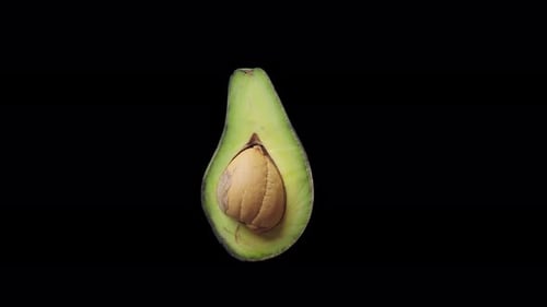 Floating Avocado Fruit Isolated on Air