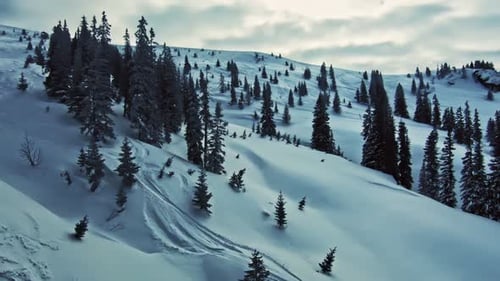 View from above on the snowy hills and trees.