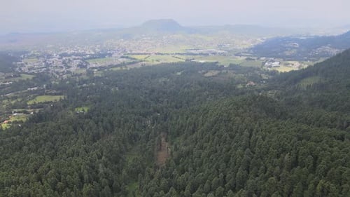 Pull front view above forest near to agricultural fields, in Mexico City
