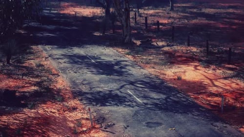 A Scenic Dirt Road Winding Through a Lush Forest