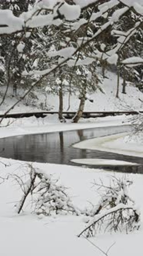 Lindulovskaya Grove an Ecological Trail a Calm Winding River in a Snowy Forest Trees Under the Snow