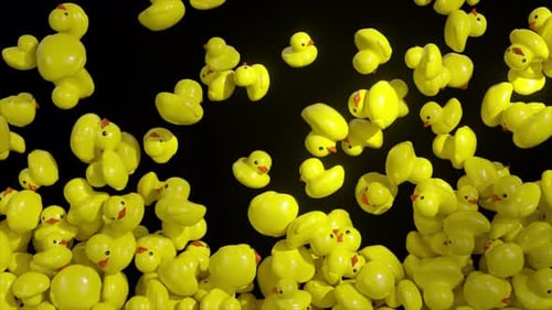 Falling Yellow Rubber Ducks Animated Transition