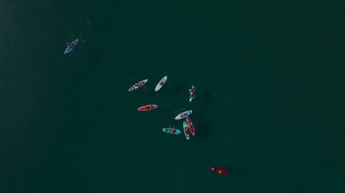 Aerial View of Paddleboarders on Calm, Dark Green Water