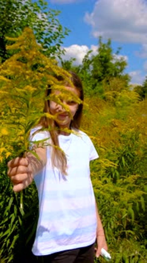 The Child is Allergic to Ragweed Selective Focus