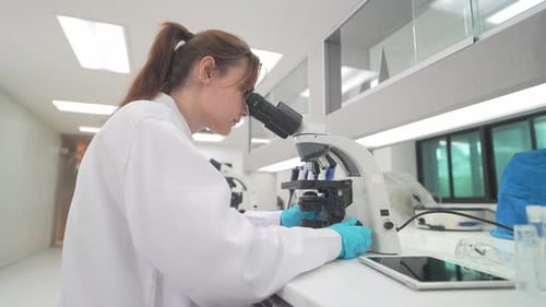 Scientist examines samples under microscope in laboratory during research session