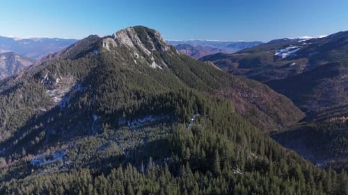 Majestic mountain peak surrounded by lush forest under clear sky