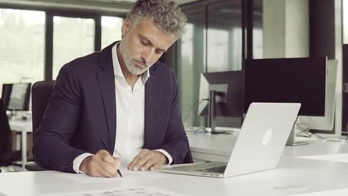 Mature businessman works confidently at his desk in a sunny office
