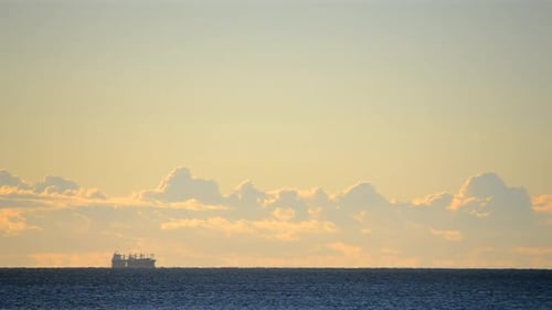 Silhouette of Tankers of Grain Carriers on the Skyline in the Sea
