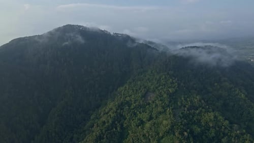Drone camera of forest and hill. view of fog that covers mountain peaks covered by dense rainforest.