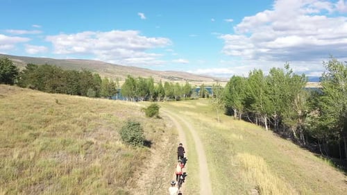 Vue aérienne de personnes faisant de l'exercice à vélo dans la forêt