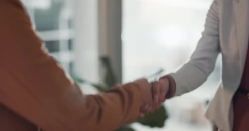 Business Meeting Handshake and Fist Bump in Office