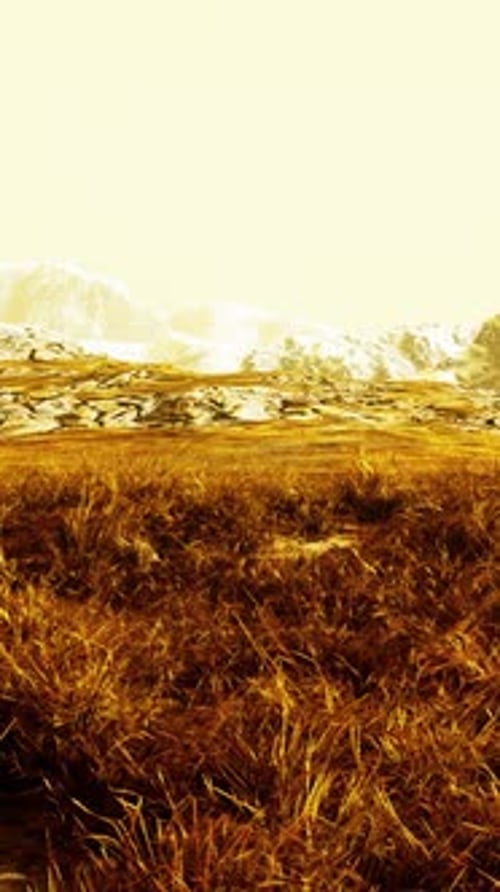 Grassy Field With Majestic Mountains in Nepal