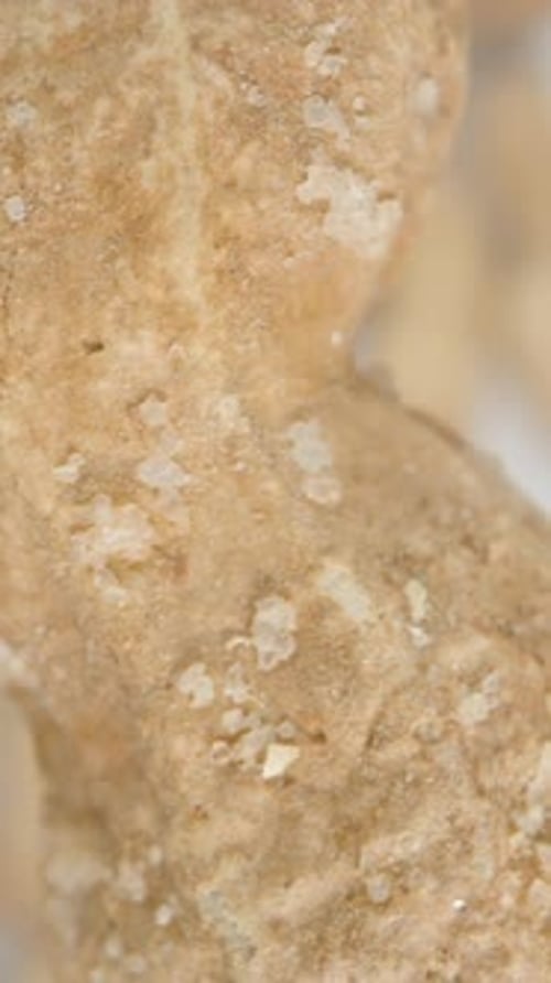 Vertical video. Peanuts in the Shell Slowly Rotate and Fall Downward. On a White Background.