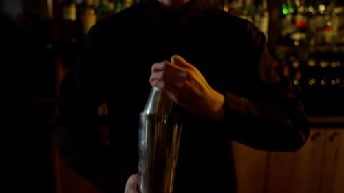 Bartender Shaking Cocktail in Metal Shaker