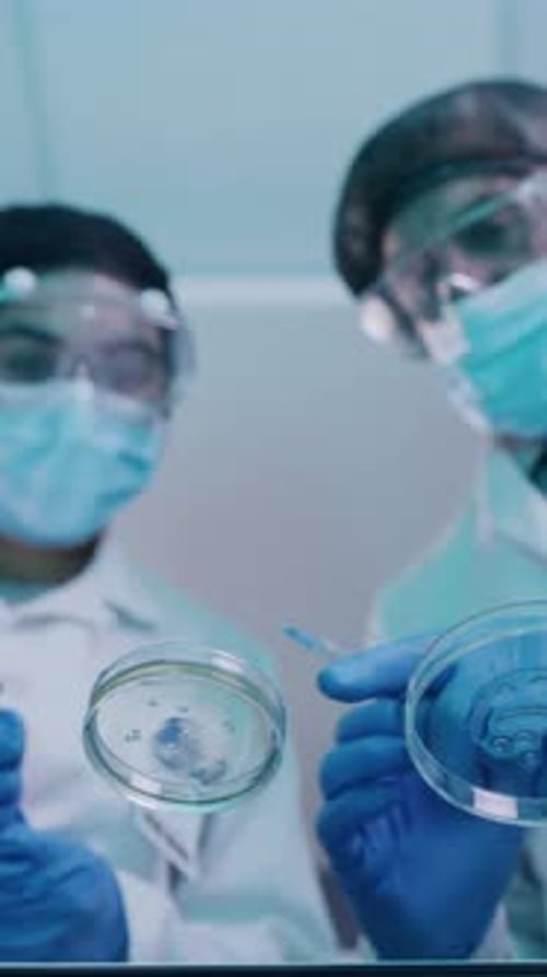 Scientists Examining Petri Dishes in Laboratory Setting