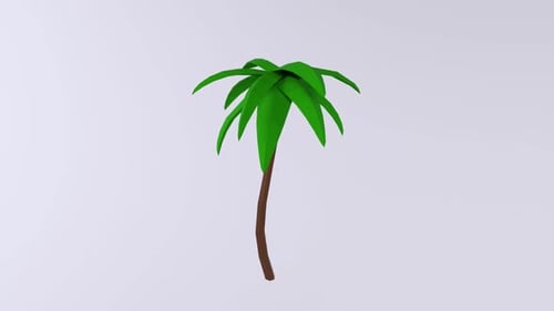 Palm Tree 3d object rotating loop