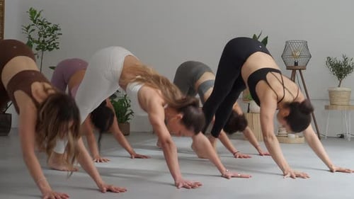 Group of Women Practicing Yoga in a Yoga Studio