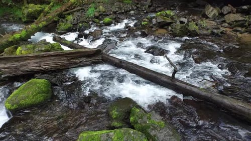 Stream with Rocks and Logs Adventure