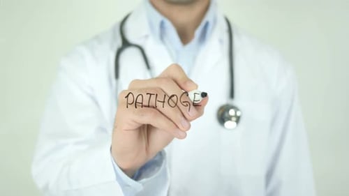 Pathogen, Doctor Writing on Transparent Screen